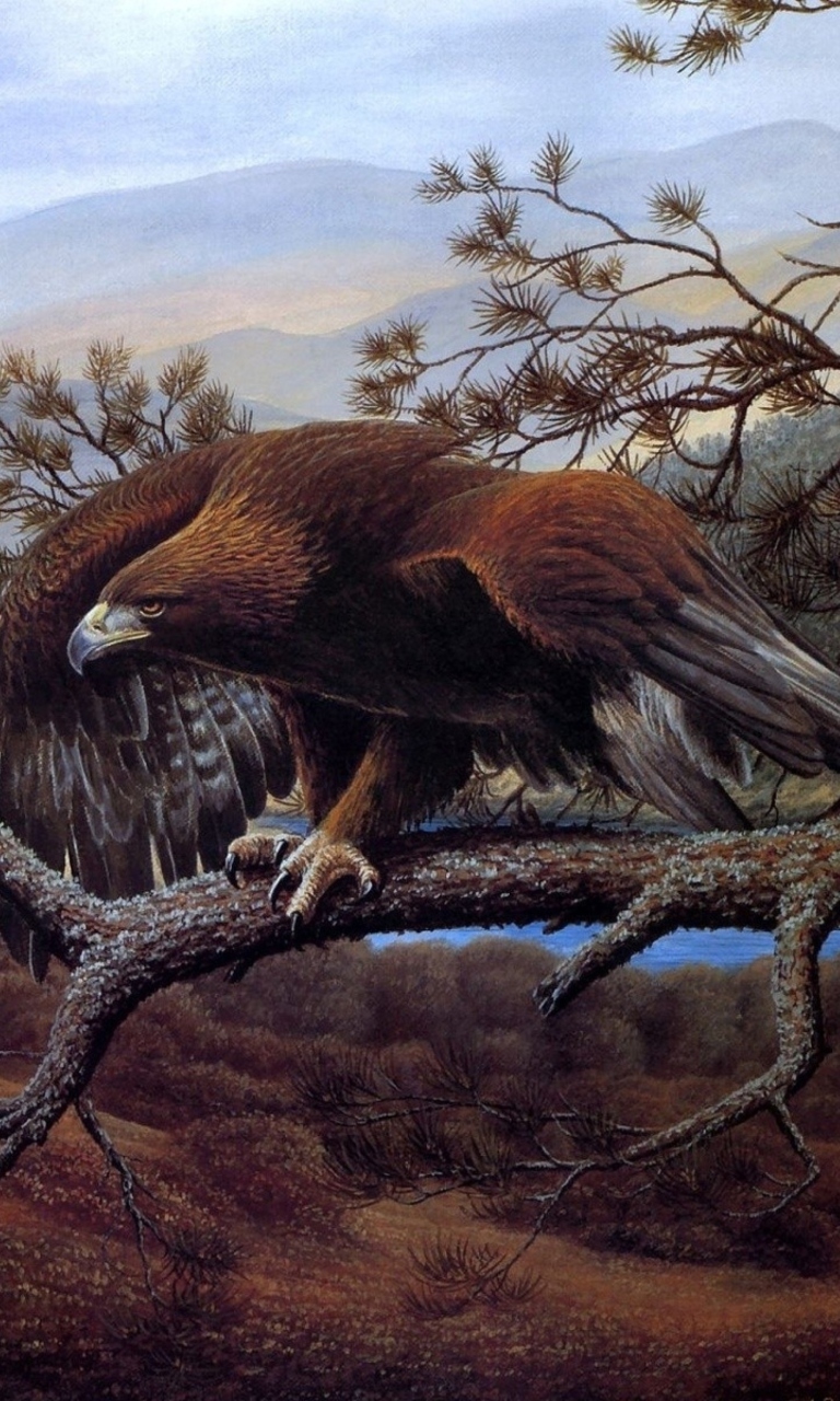 Das Eagle On Branch Wallpaper 768x1280