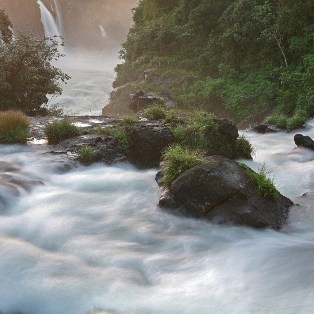 Screenshot №1 pro téma Tropical Forest Waterfall 1024x1024