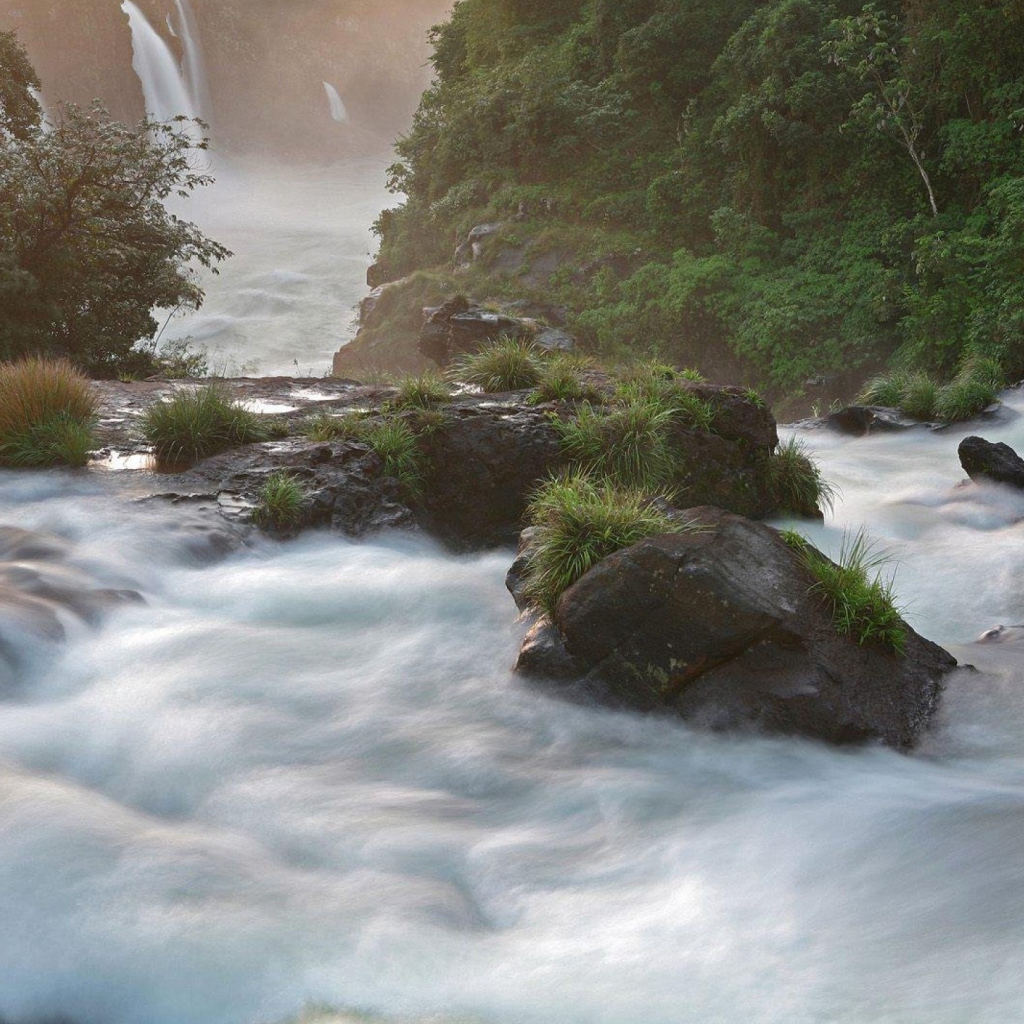 Tropical Forest Waterfall wallpaper 1024x1024