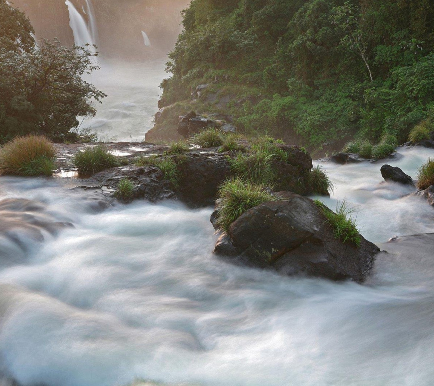 Tropical Forest Waterfall screenshot #1 1440x1280