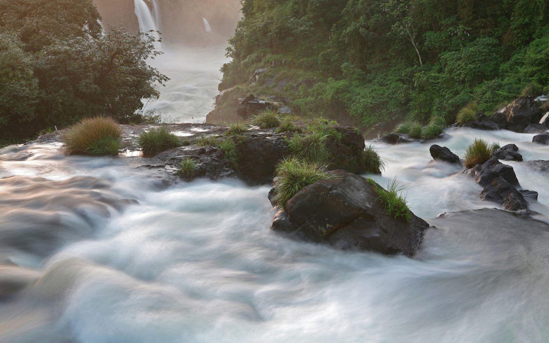 Fondo de pantalla Tropical Forest Waterfall 1920x1200