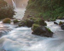 Das Tropical Forest Waterfall Wallpaper 220x176