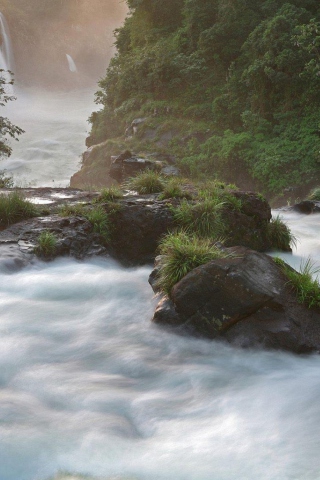 Tropical Forest Waterfall screenshot #1 320x480
