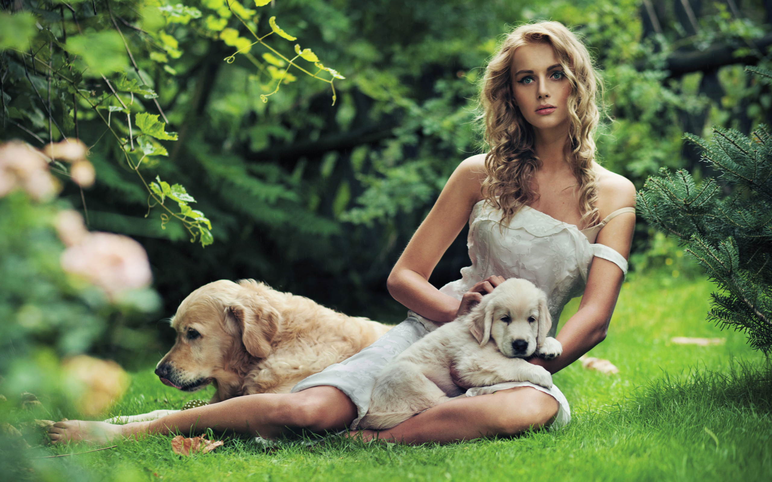 Model And Dogs wallpaper 2560x1600
