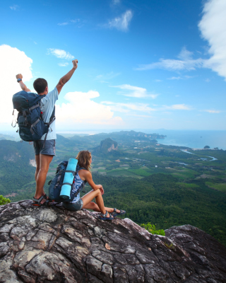 Happy Couple On Mountain Top Picture for 240x320