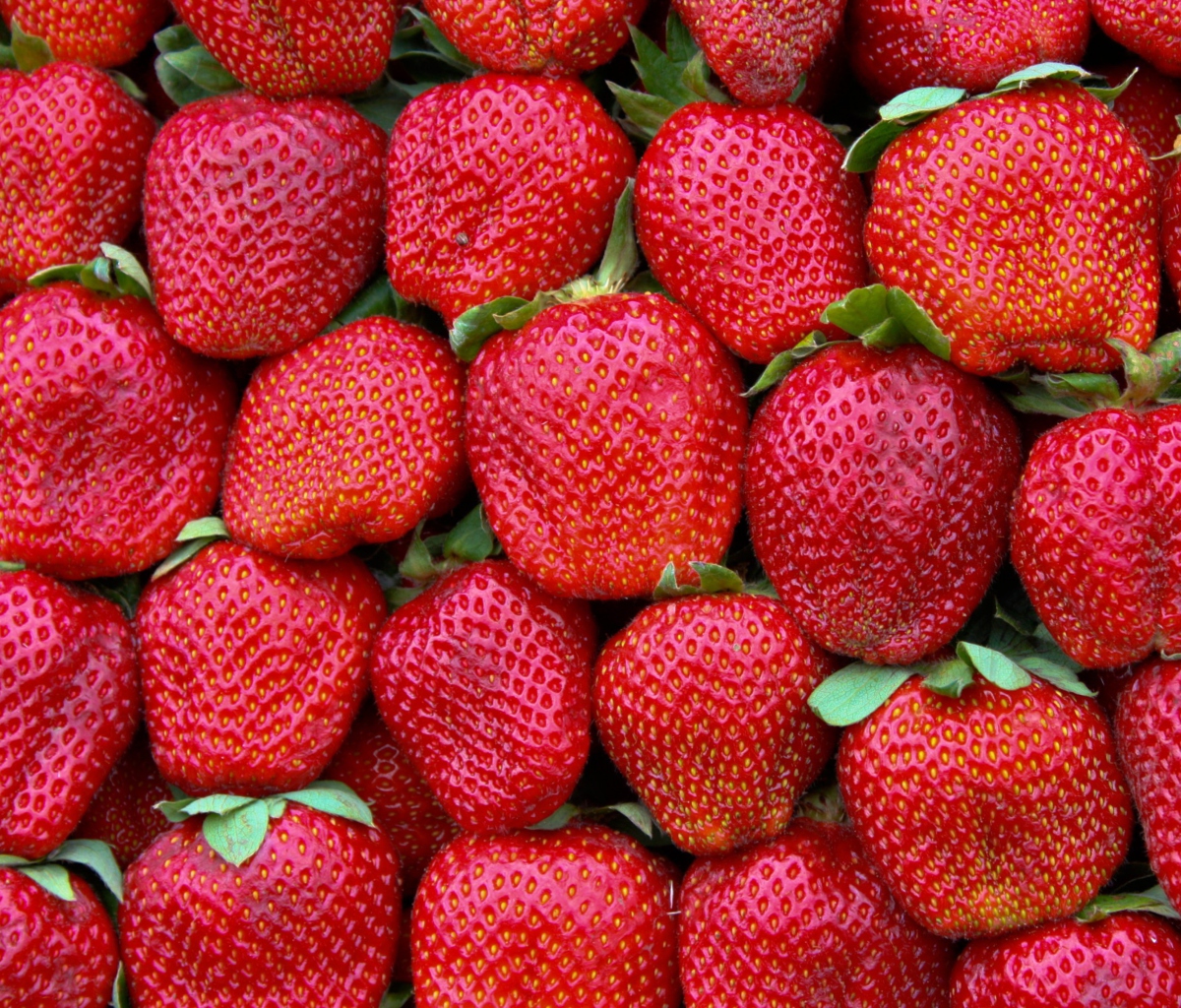 Screenshot №1 pro téma Best Strawberries 1200x1024