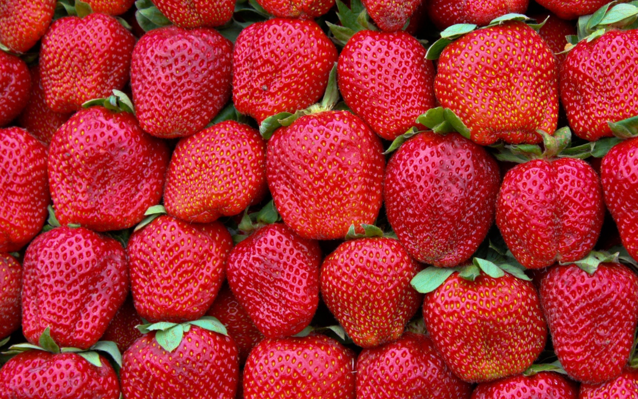 Sfondi Best Strawberries 1280x800