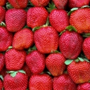 Best Strawberries wallpaper 128x128