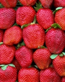 Обои Best Strawberries 128x160