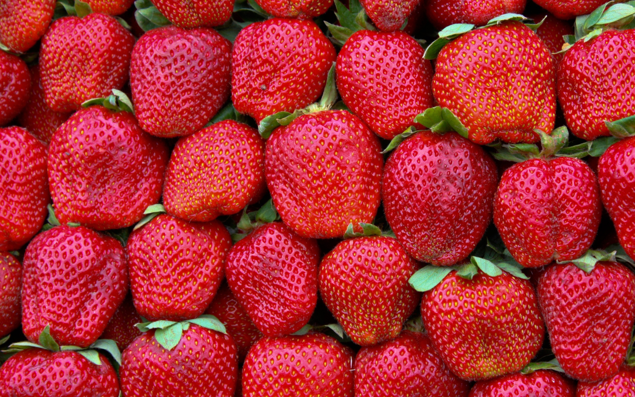 Das Best Strawberries Wallpaper 2560x1600