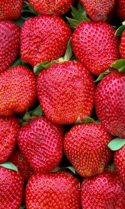 Обои Best Strawberries 480x800