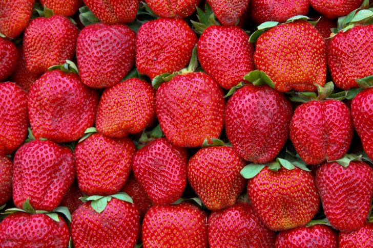 Best Strawberries wallpaper