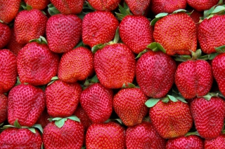 Free Best Strawberries Picture for Android, iPhone and iPad
