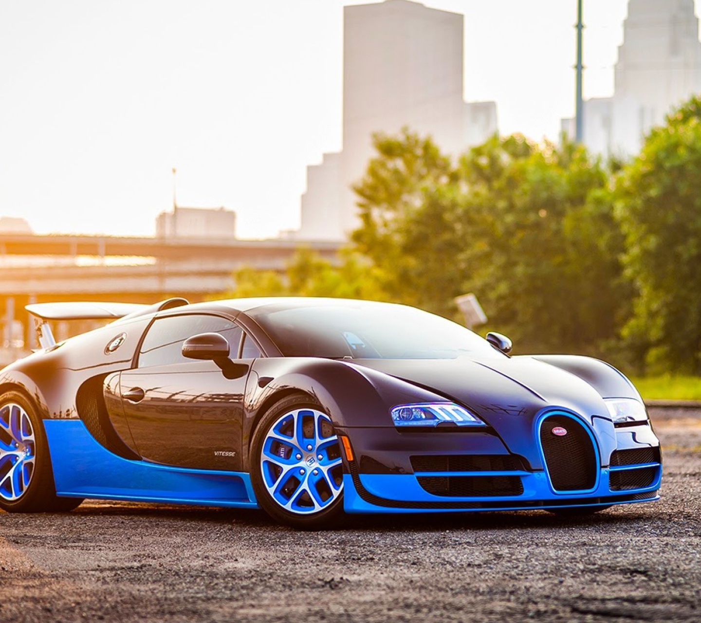 Обои Bugatti Veyron Super Sport Auto 1440x1280