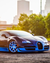 Bugatti Veyron Super Sport Auto wallpaper 176x220