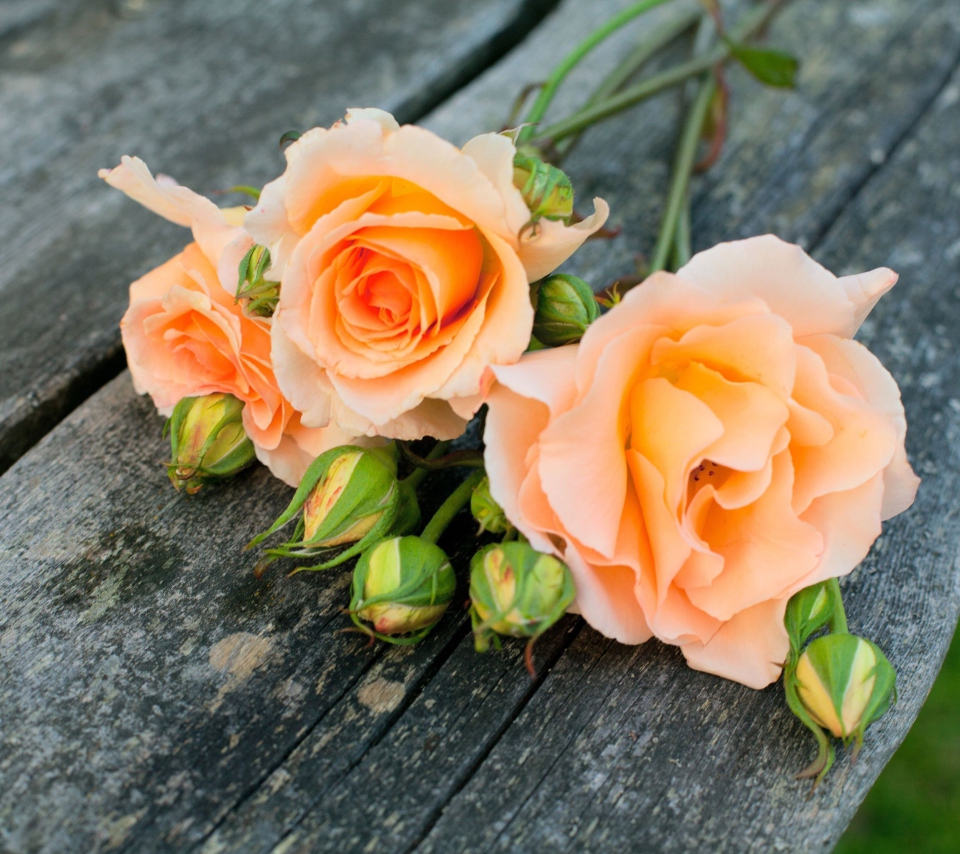 Fondo de pantalla Delicate Orange Rose Petals 960x854