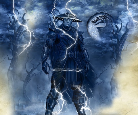 Das Raiden Mortal Kombat Wallpaper 480x400