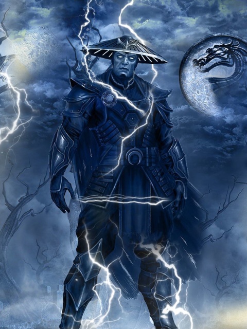 Das Raiden Mortal Kombat Wallpaper 480x640