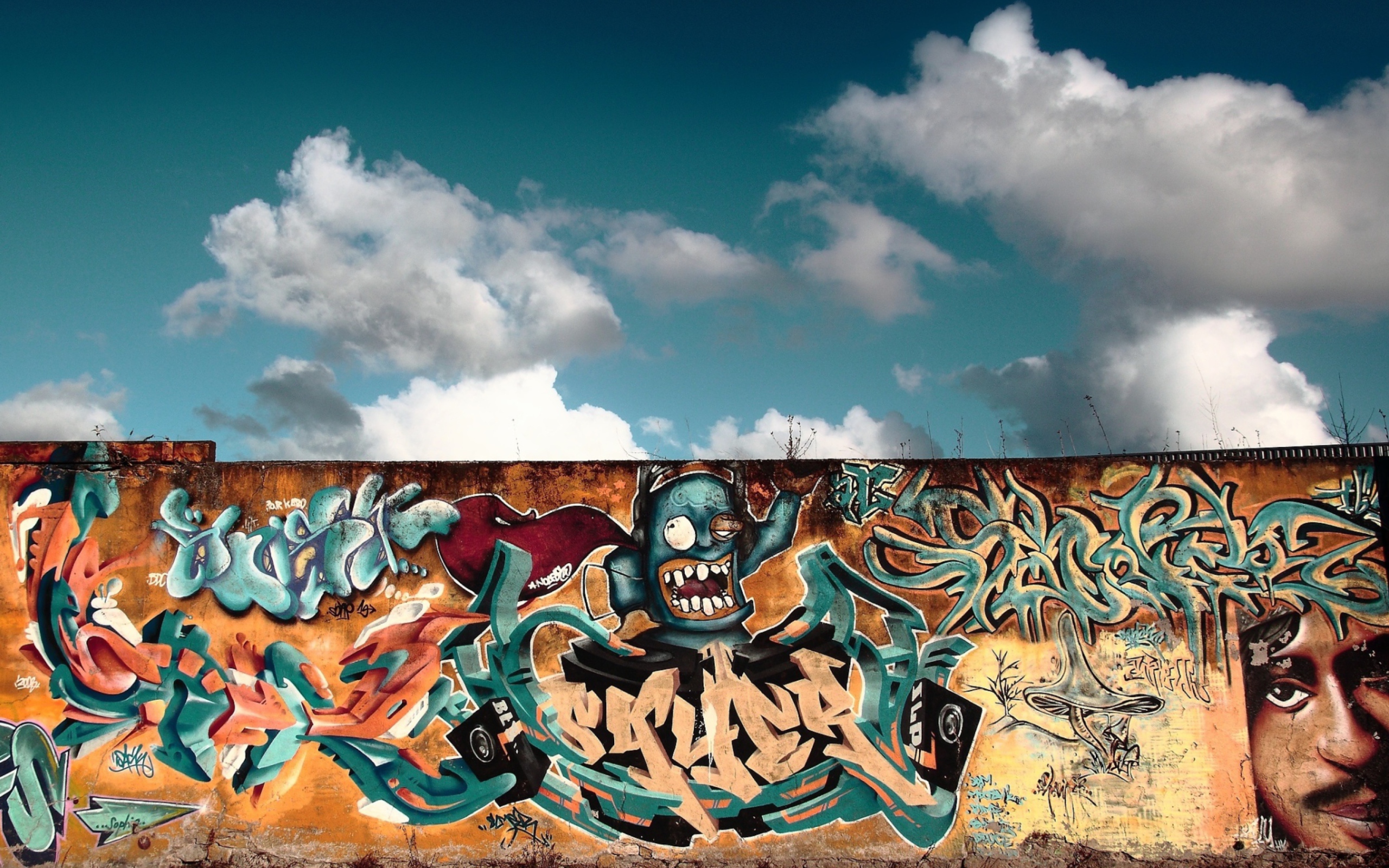 Graffiti Art wallpaper 2560x1600