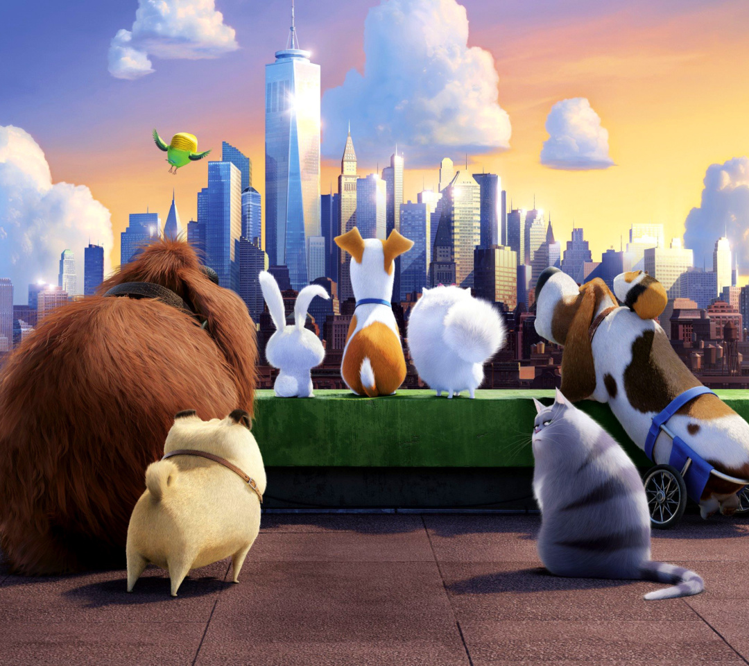 Sfondi The Secret Life of Pets Gang 1080x960