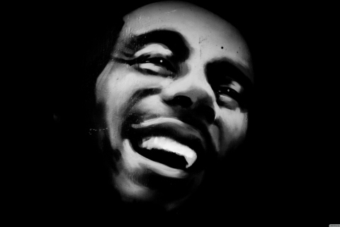 Fondo de pantalla Bob Marley 480x320