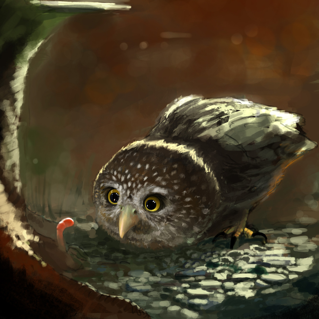 Das Cute Owl Painting Wallpaper 1024x1024