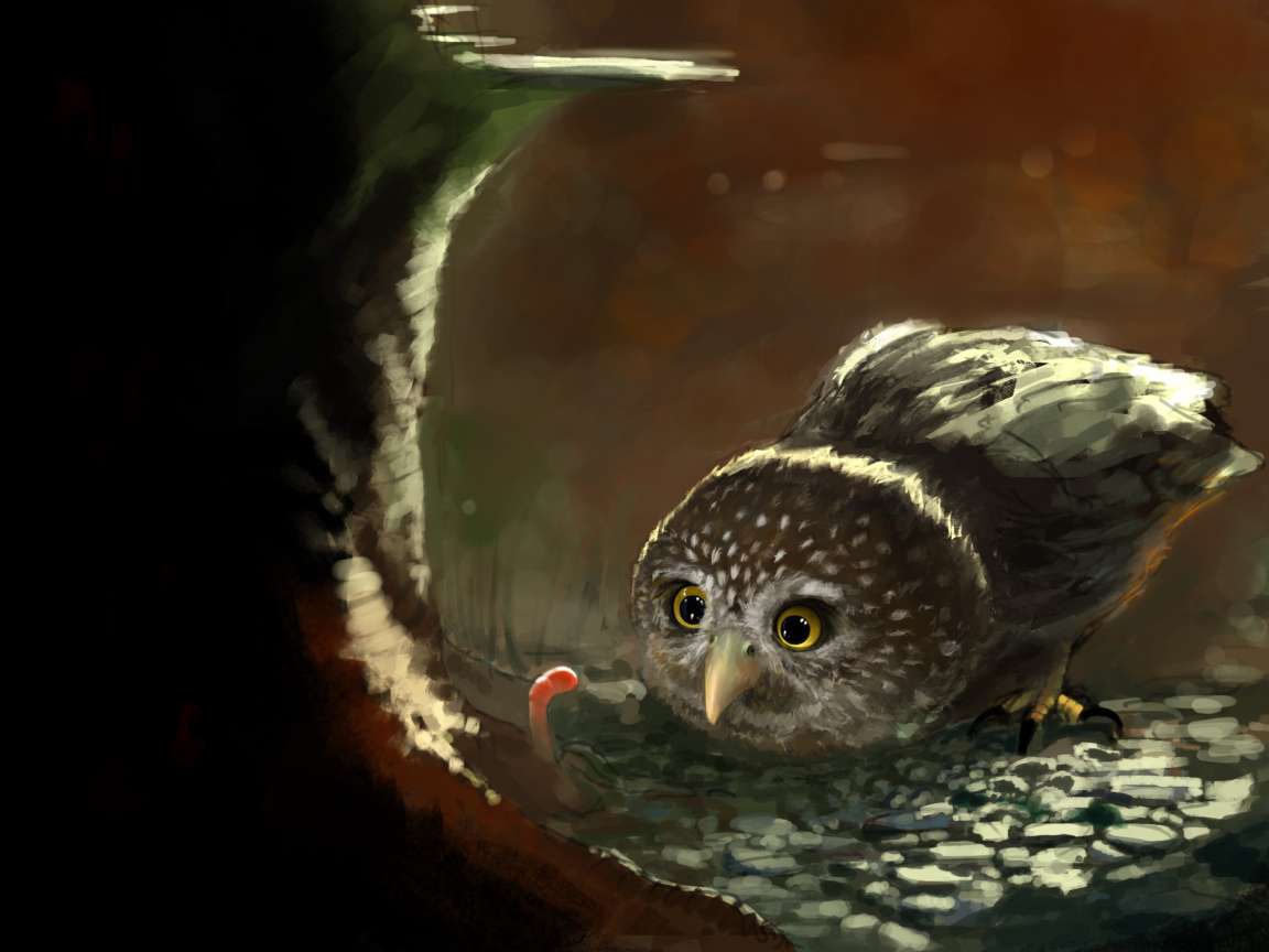 Cute Owl Painting wallpaper 1152x864