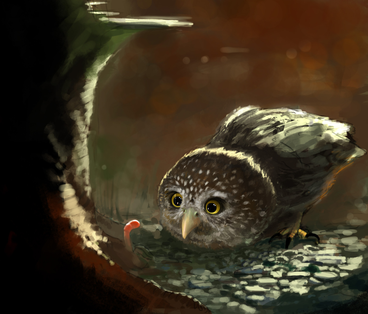 Обои Cute Owl Painting 1200x1024