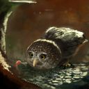 Cute Owl Painting wallpaper 128x128