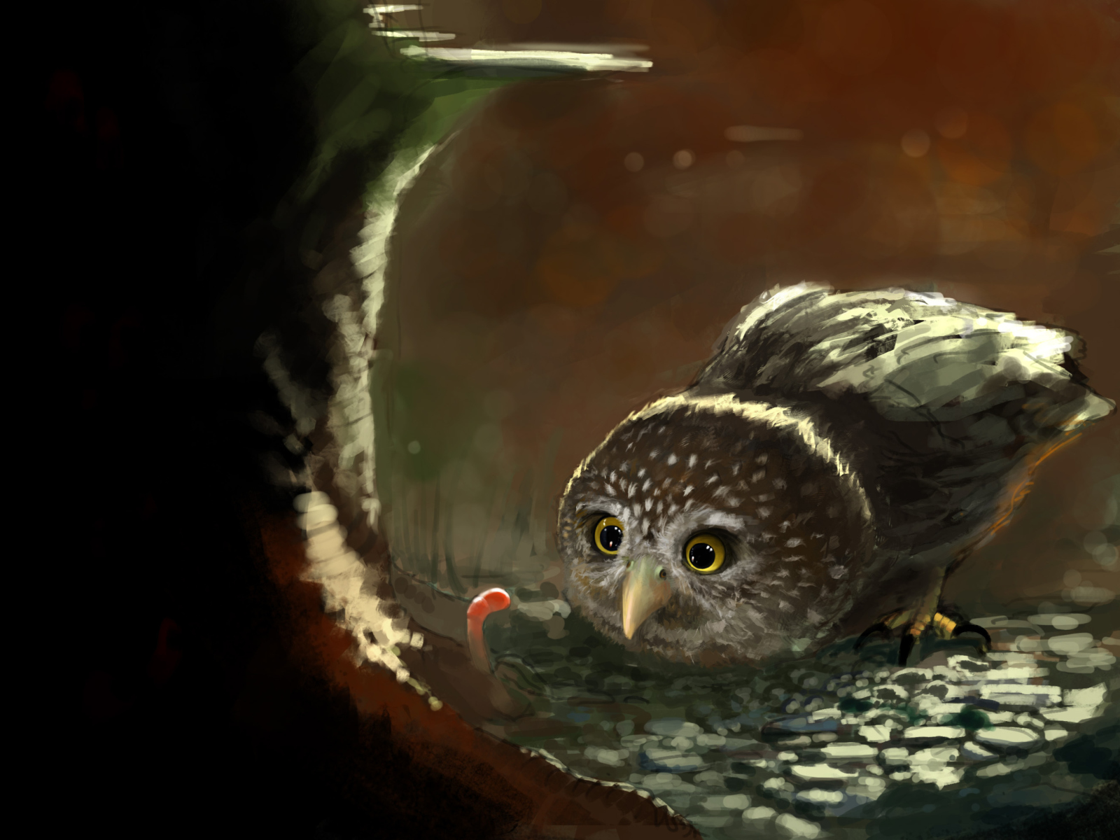 Fondo de pantalla Cute Owl Painting 1600x1200