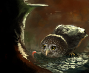 Screenshot №1 pro téma Cute Owl Painting 176x144