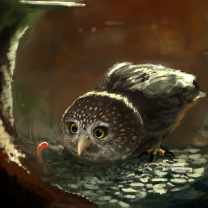 Das Cute Owl Painting Wallpaper 208x208