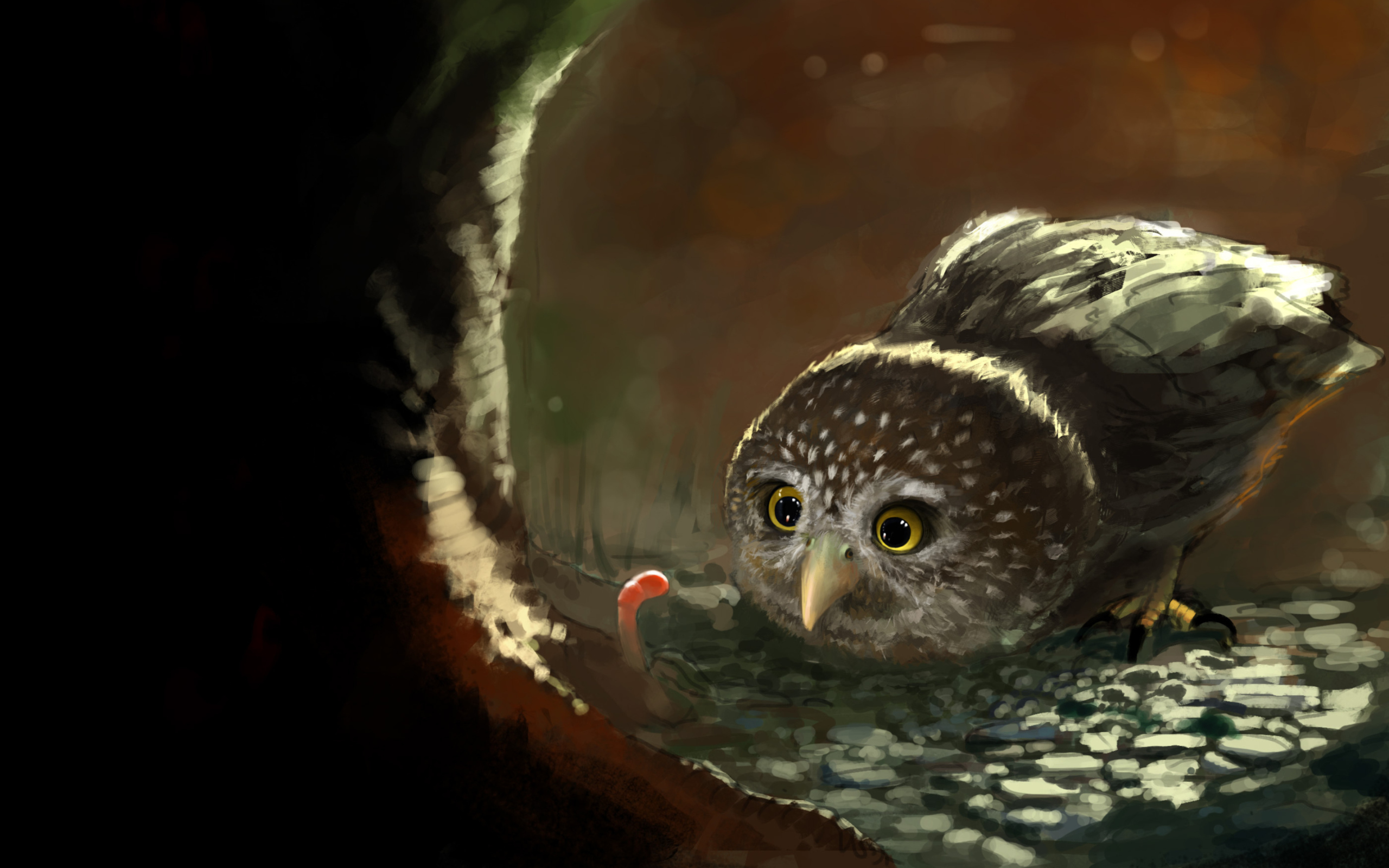 Sfondi Cute Owl Painting 2560x1600