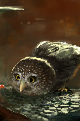 Cute Owl Painting wallpaper 320x480