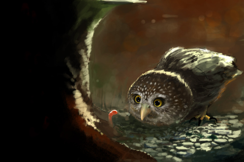 Das Cute Owl Painting Wallpaper 480x320