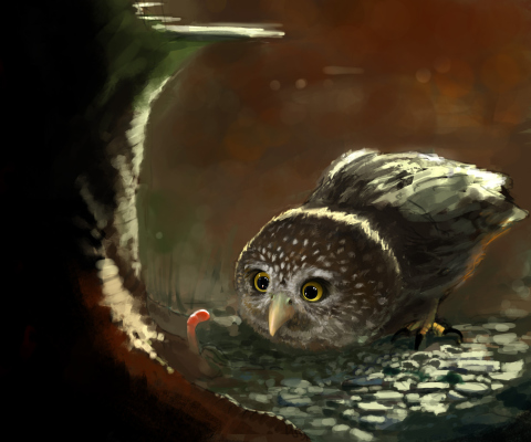 Fondo de pantalla Cute Owl Painting 480x400