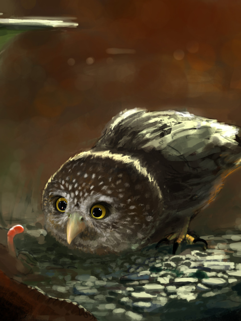 Cute Owl Painting screenshot #1 480x640