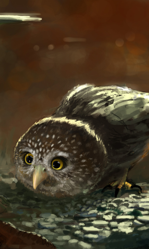Das Cute Owl Painting Wallpaper 480x800