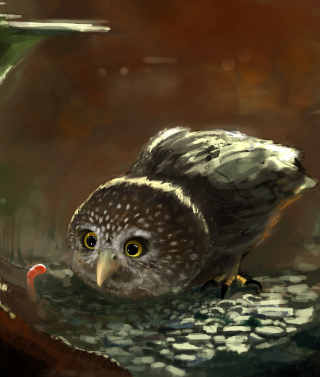 Cute Owl Painting - Obrázkek zdarma pro Nokia C2-02