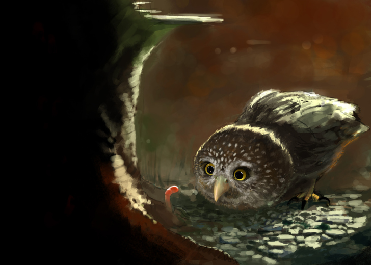 Fondo de pantalla Cute Owl Painting