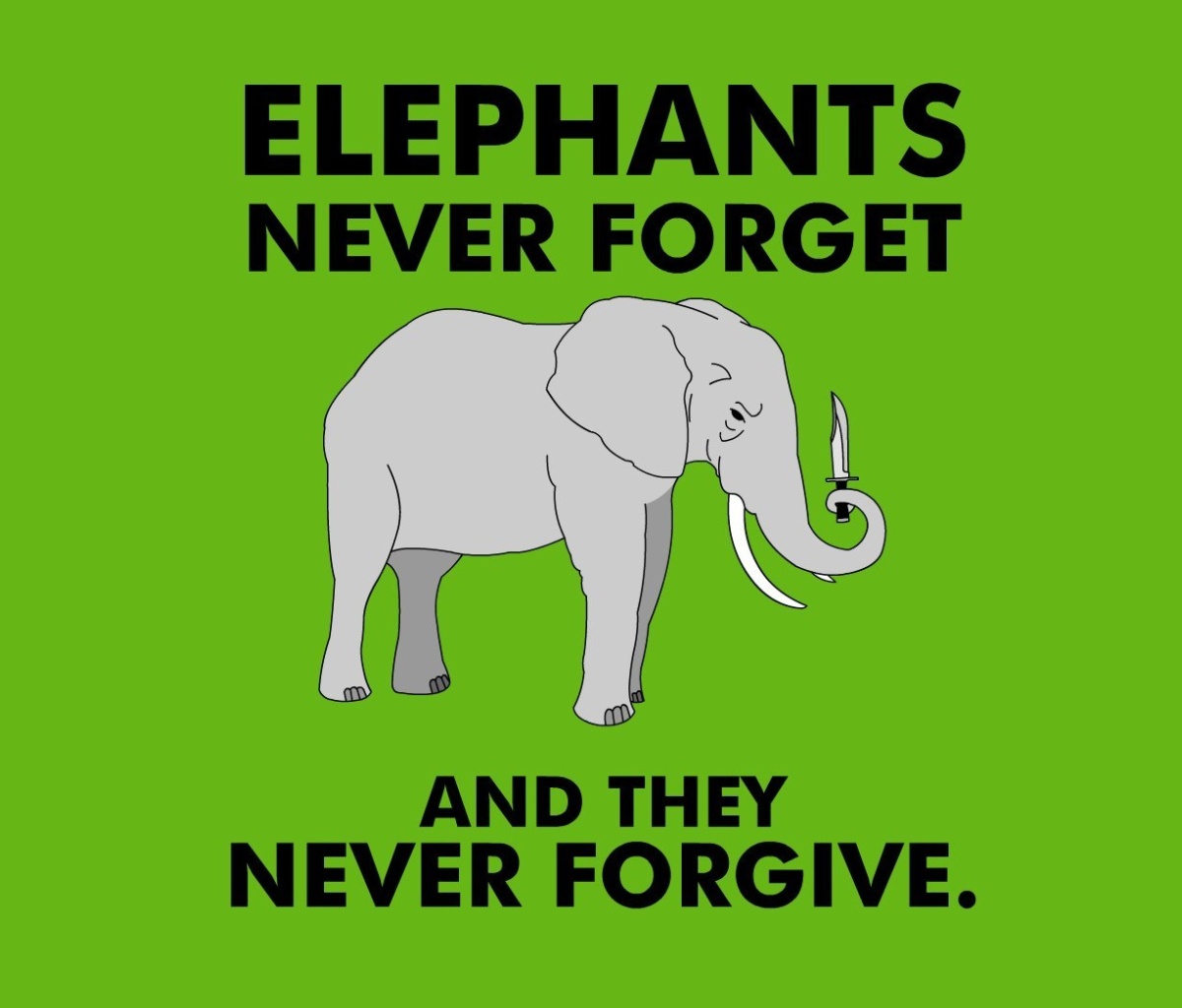 Sfondi Elephants Never Forget 1200x1024
