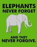 Elephants Never Forget wallpaper 128x160