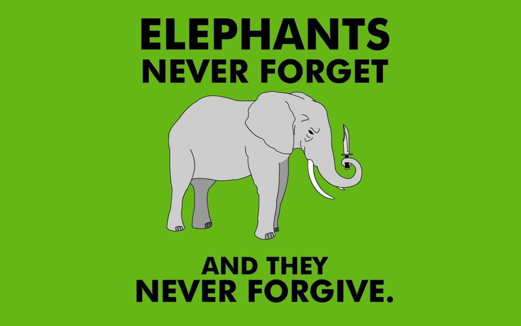 Das Elephants Never Forget Wallpaper 1680x1050