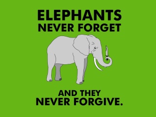 Das Elephants Never Forget Wallpaper 320x240