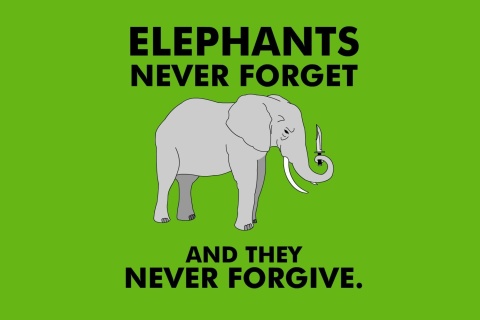 Sfondi Elephants Never Forget 480x320