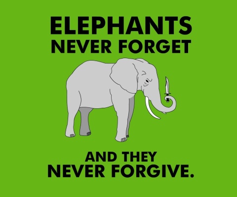 Elephants Never Forget wallpaper 480x400