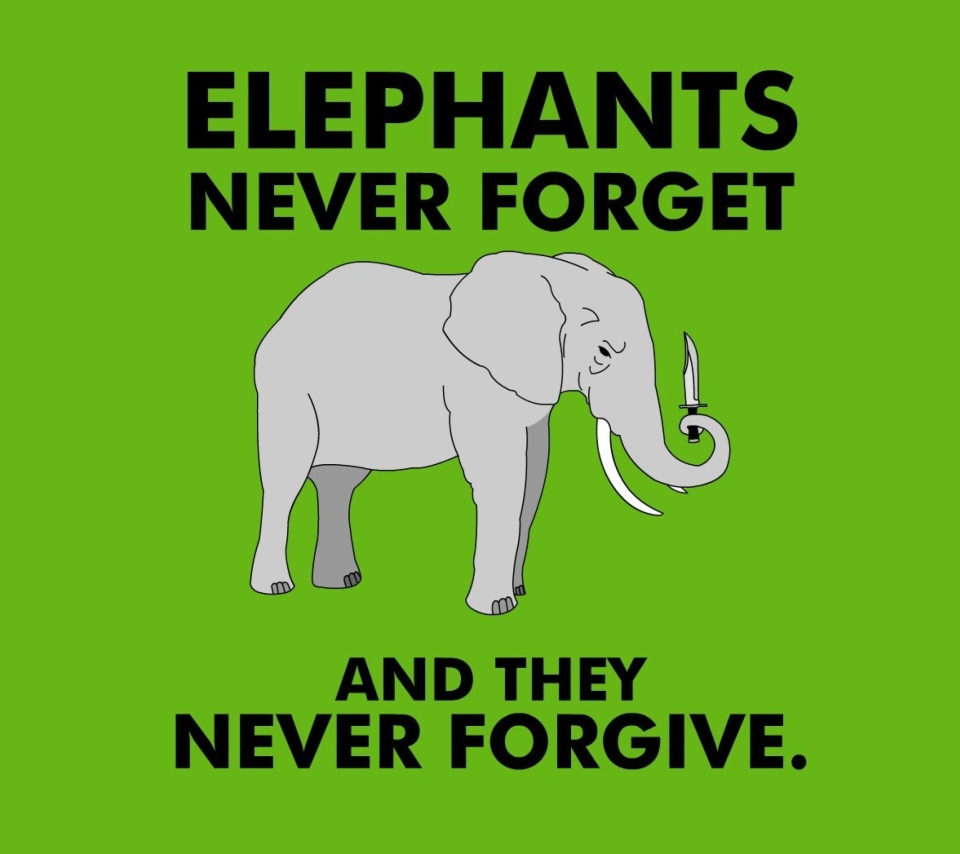 Обои Elephants Never Forget 960x854