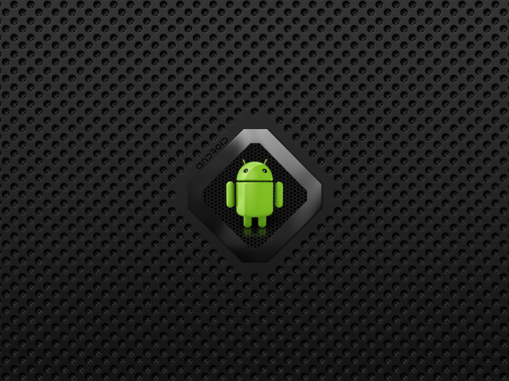 Android screenshot #1 1024x768