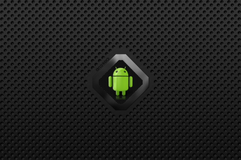 Das Android Wallpaper 480x320