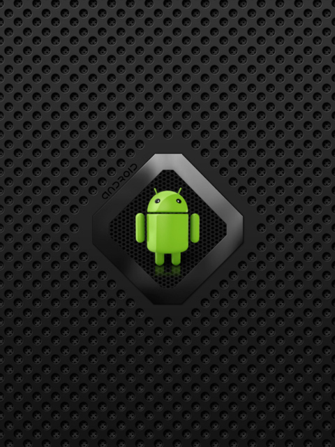 Android screenshot #1 480x640